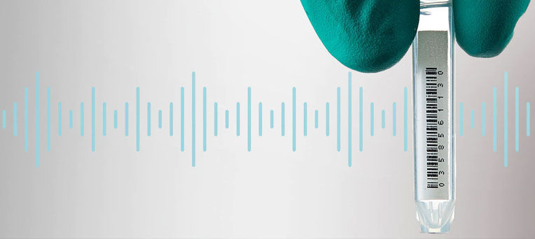 liner ai